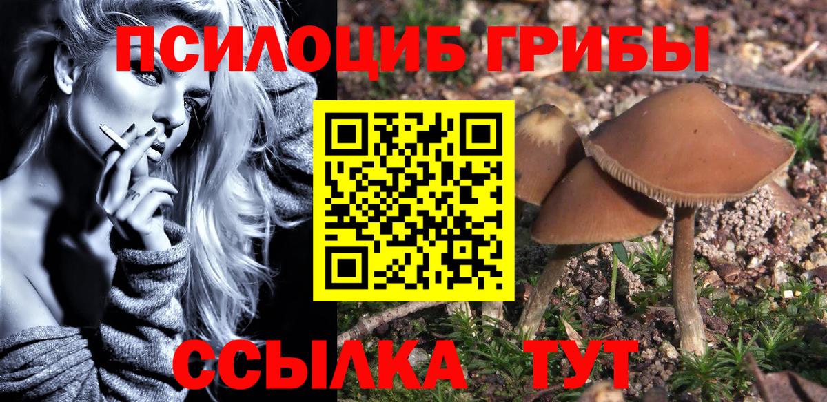 Псилоцибиновые грибы MAGIC MUSHROOMS Ленинск-Кузнецкий