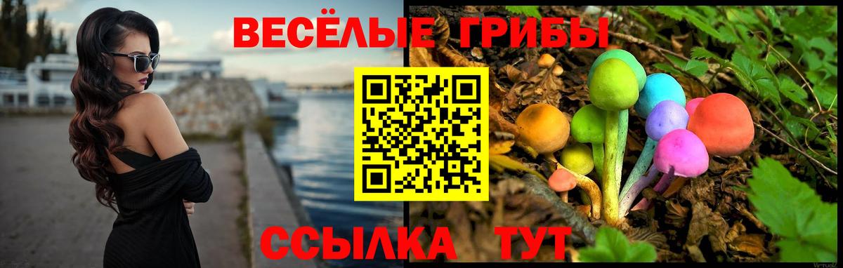 Ленинск-Кузнецкий  купить закладку  Вход с VPN  Псилоцибиновые грибы MAGIC MUSHROOMS 